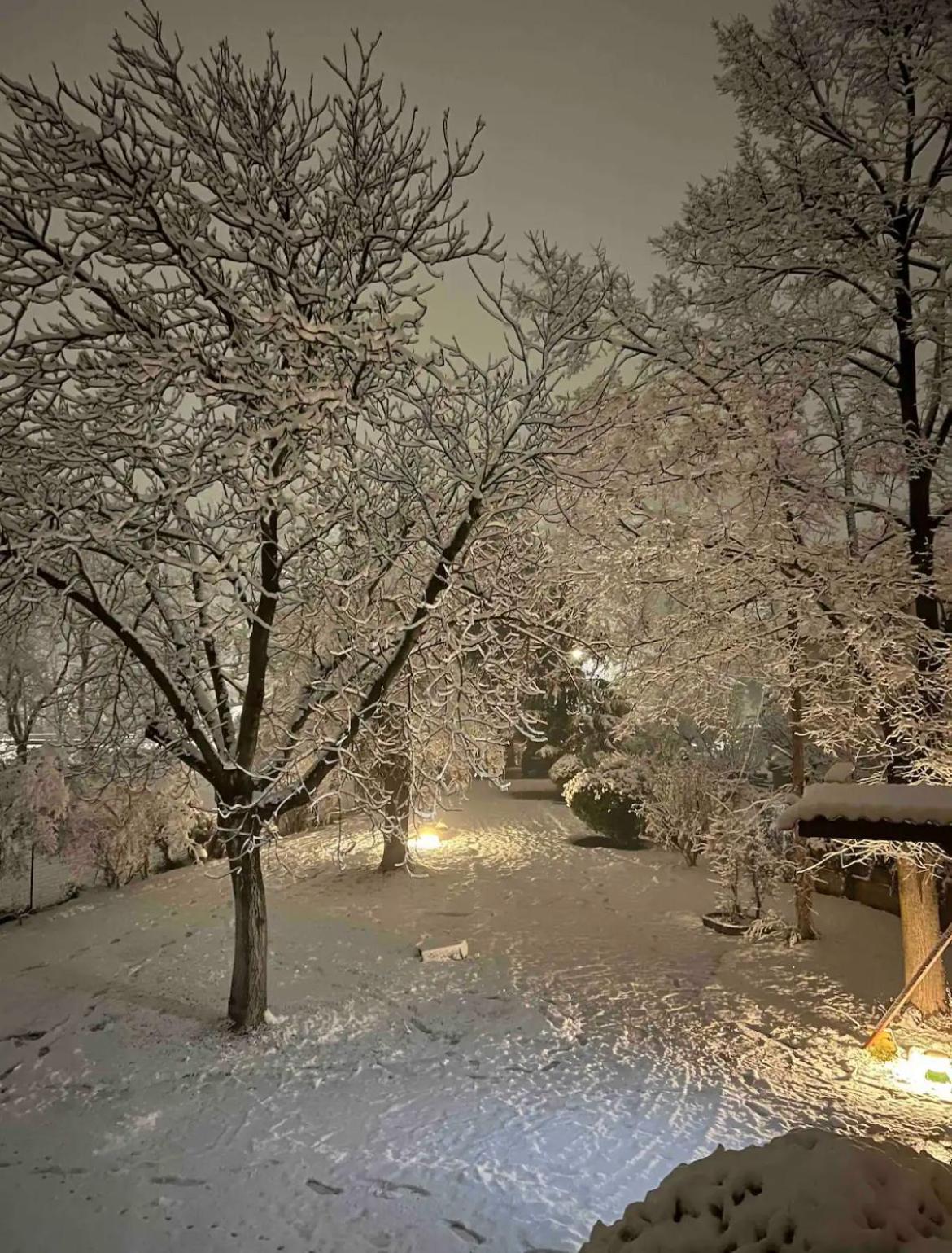 Villa Alberto 술모나 외부 사진
