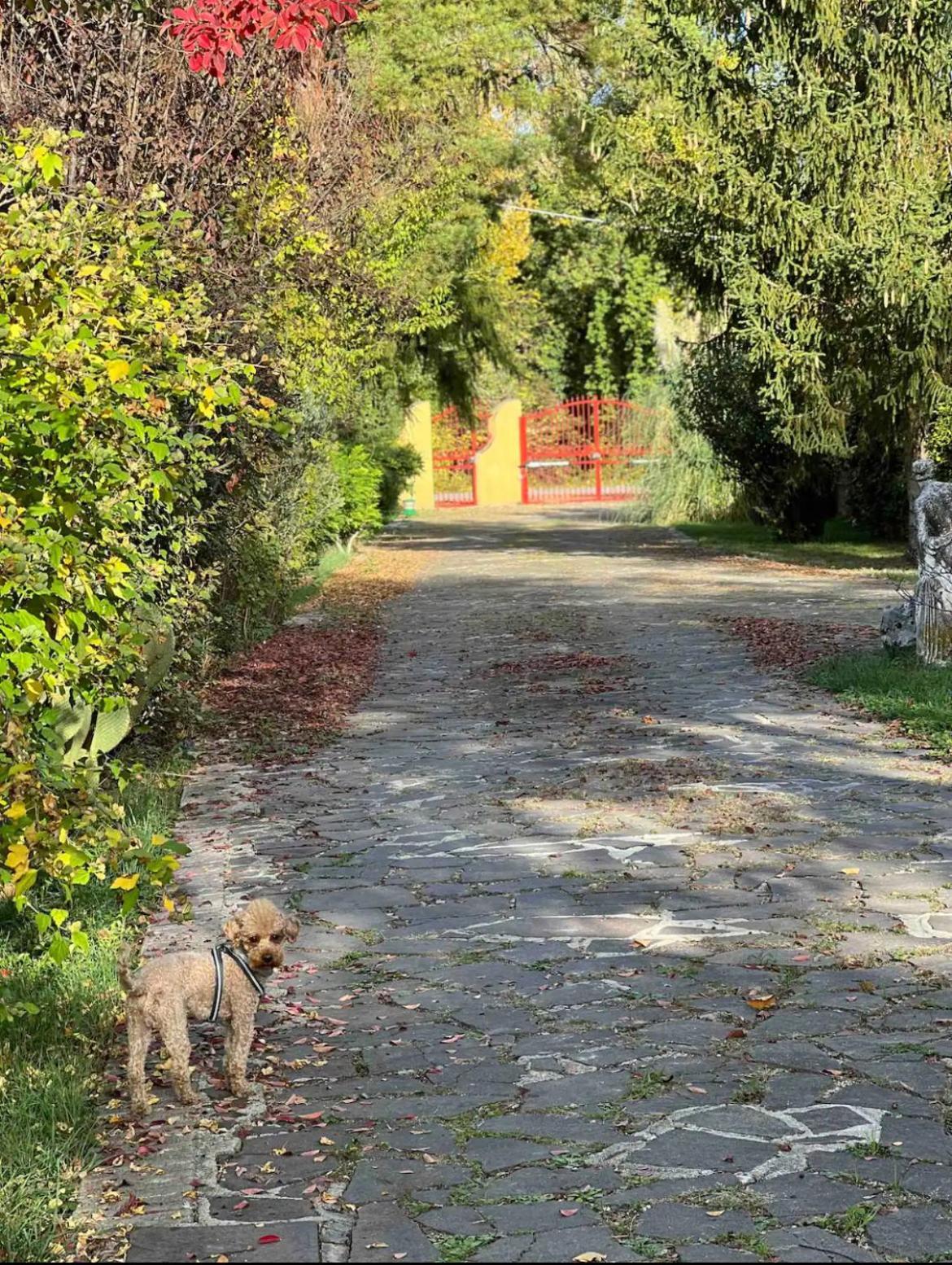 Villa Alberto 술모나 외부 사진