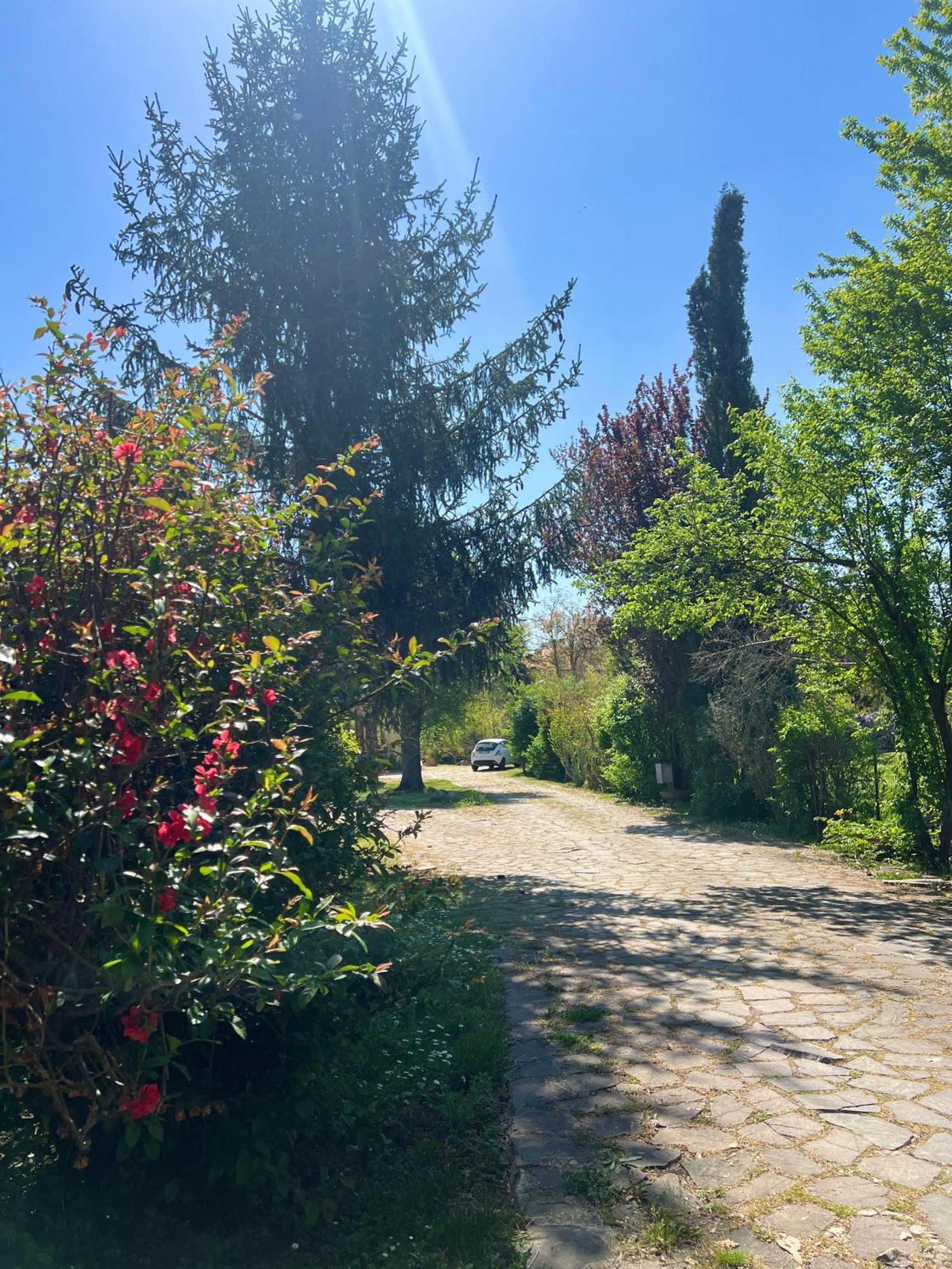 Villa Alberto 술모나 외부 사진